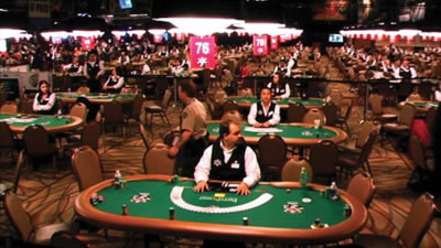 ALL-IN THE POKER MOVIE